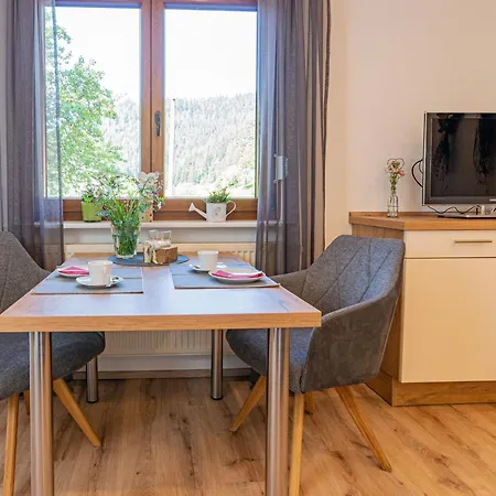 Holderstanzenhof Apartment Bad Peterstal-Griesbach Exterior photo
