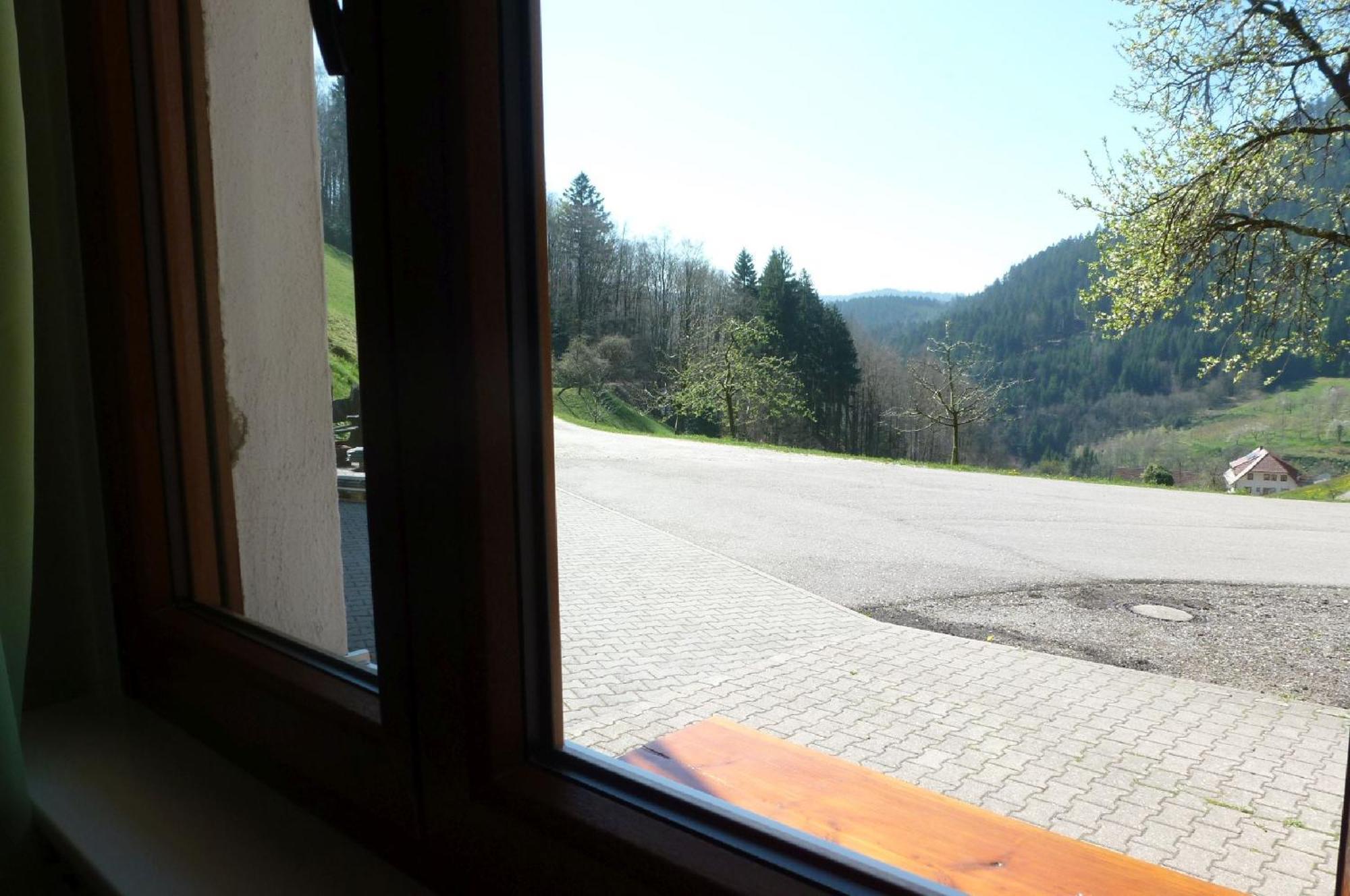 Holderstanzenhof * Bad Peterstal-Griesbach