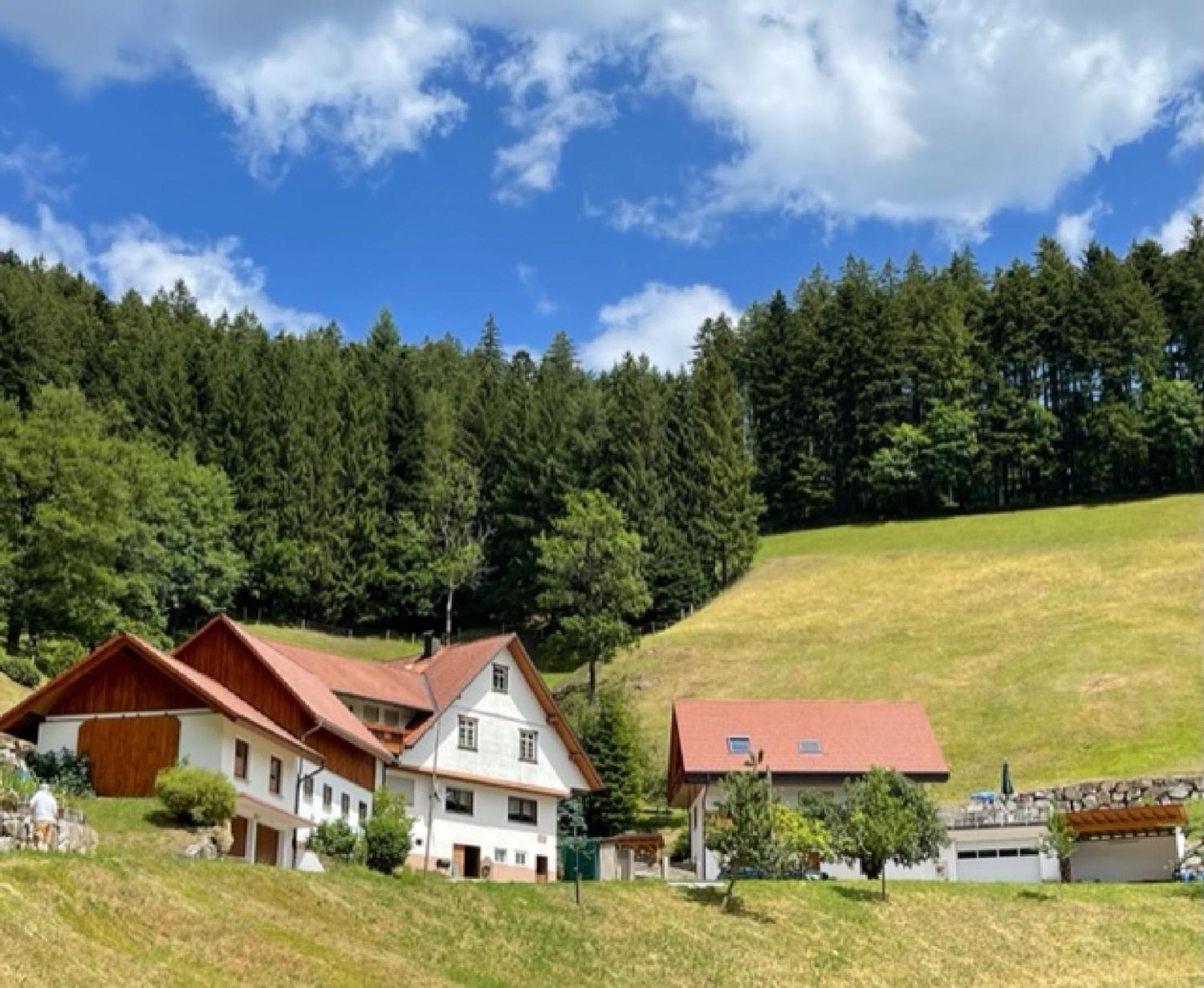 Holderstanzenhof