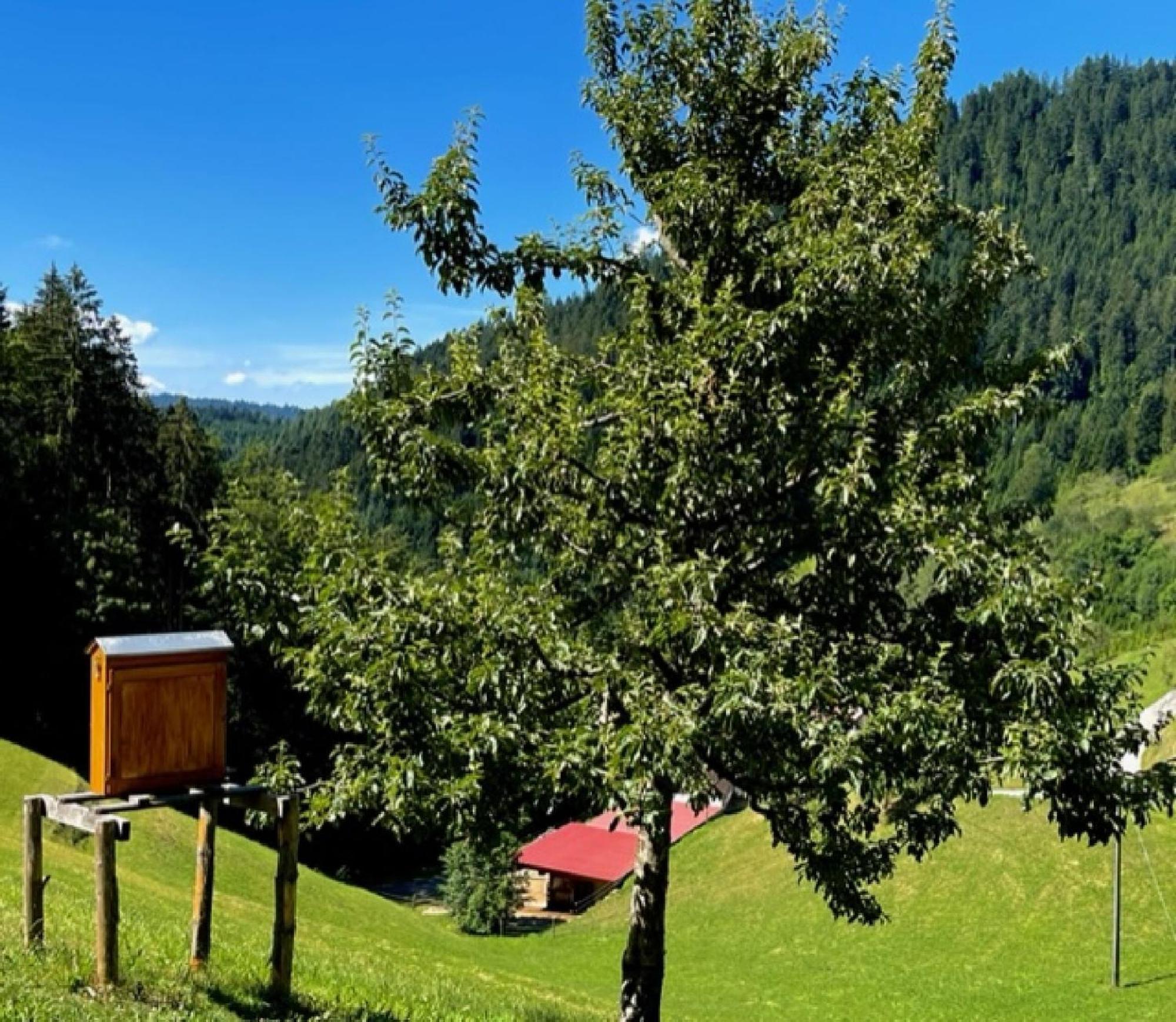 Holderstanzenhof Bad Peterstal-Griesbach