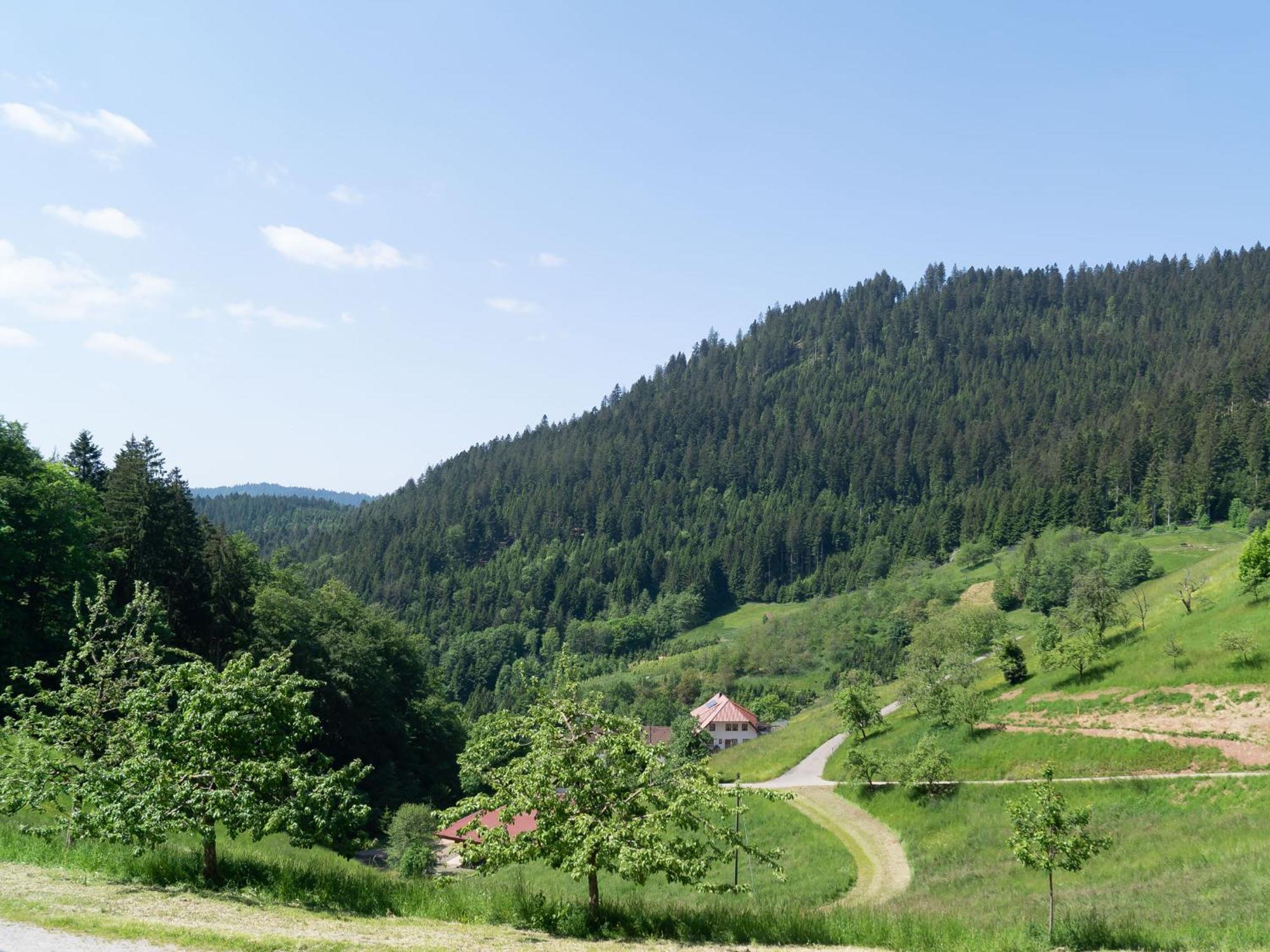 Holderstanzenhof Bad Peterstal-Griesbach