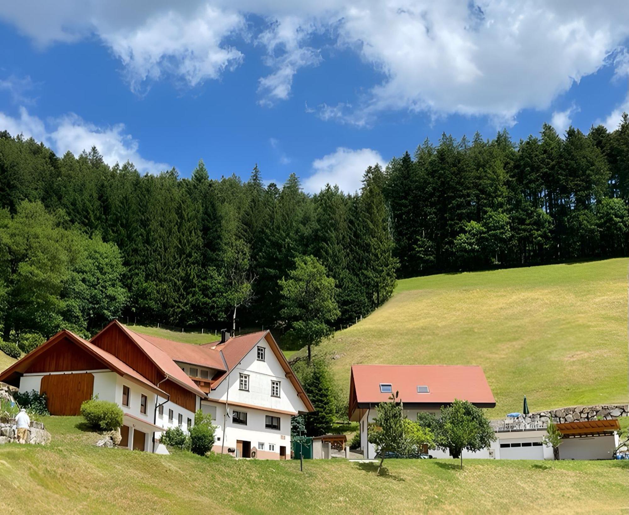 Apartment Holderstanzenhof *