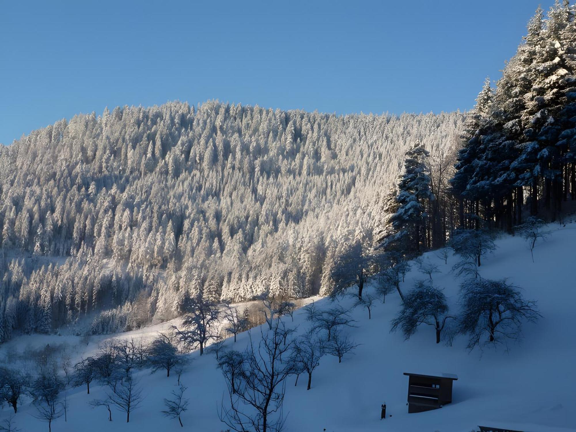 Holderstanzenhof * Bad Peterstal-Griesbach