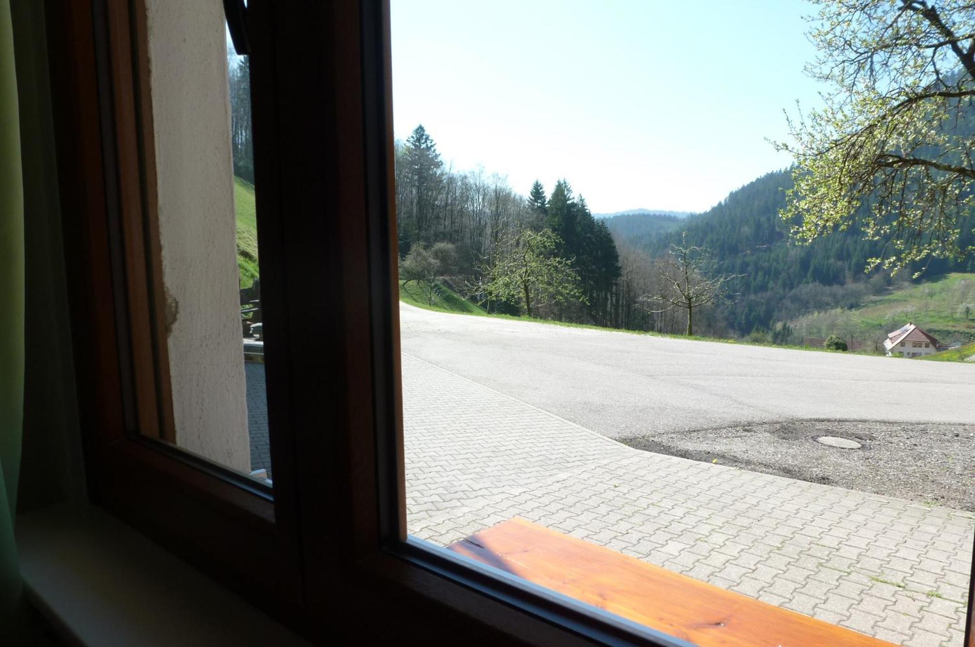 Apartment Holderstanzenhof Bad Peterstal-Griesbach
