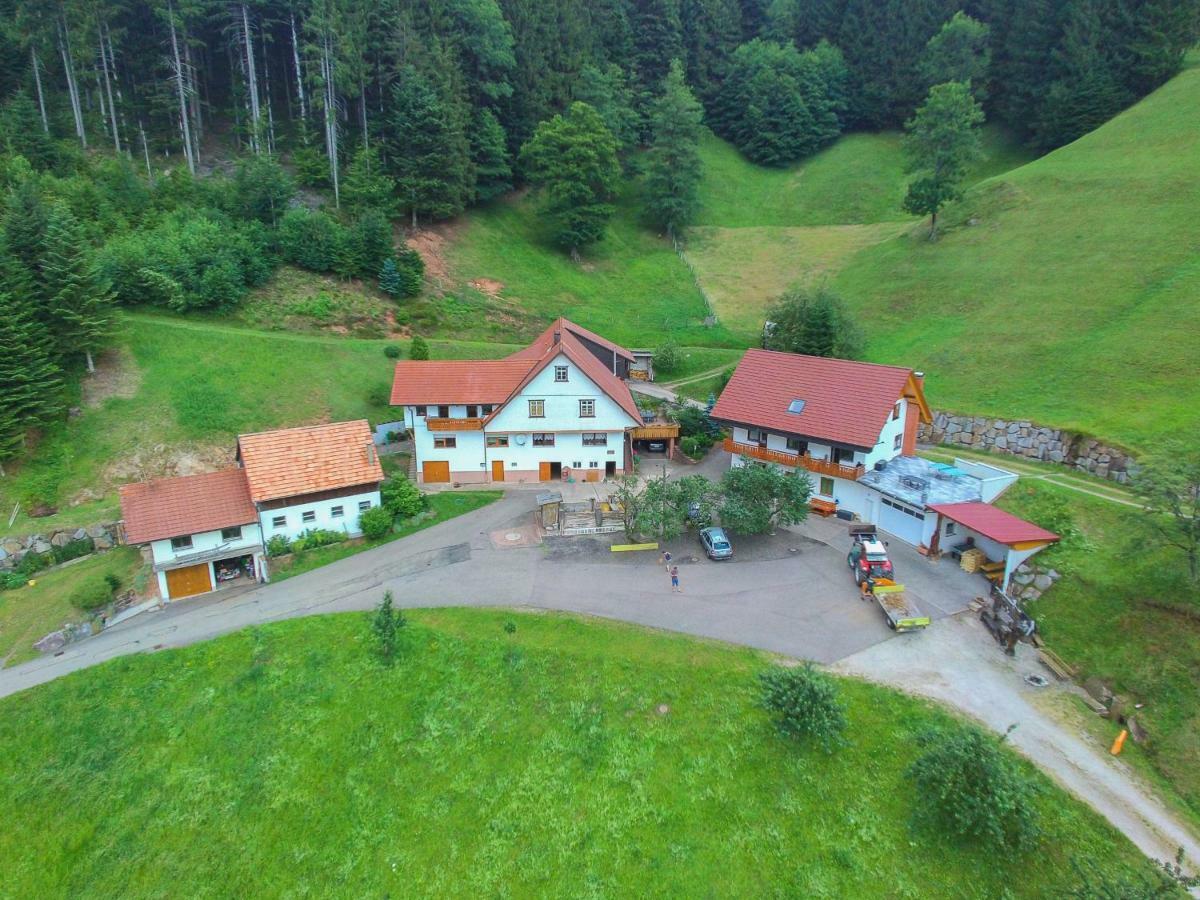 Holderstanzenhof Apartment Bad Peterstal-Griesbach