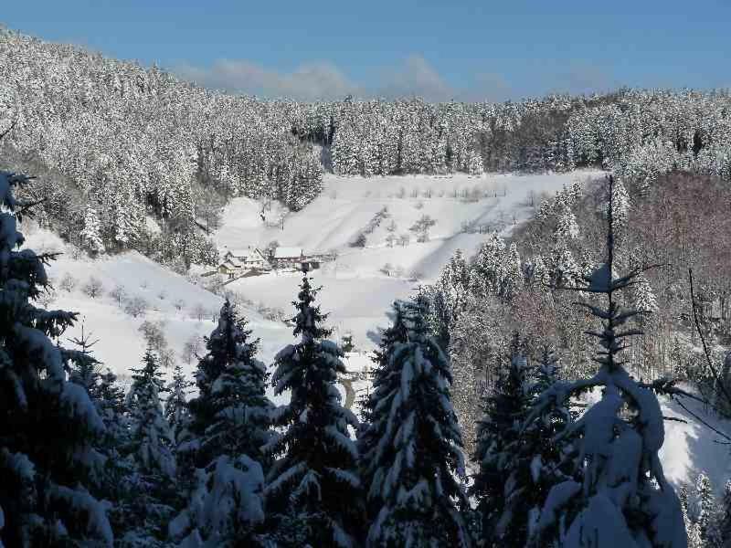 Holderstanzenhof Bad Peterstal-Griesbach