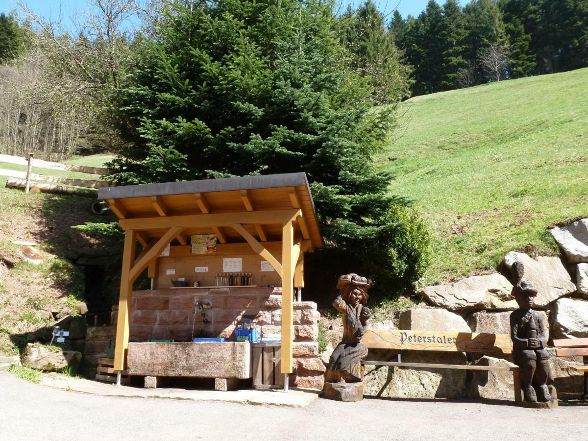 Holderstanzenhof * Bad Peterstal-Griesbach