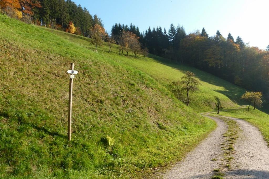 Holderstanzenhof *