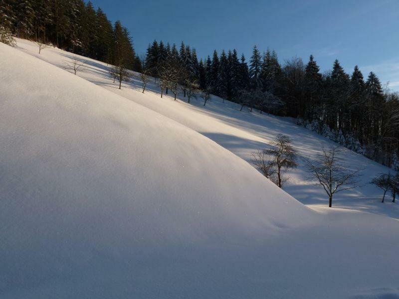Holderstanzenhof Apartment Bad Peterstal-Griesbach